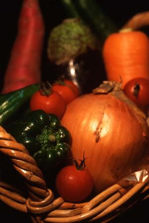 栄養充実で便利な宅配弁当サービス