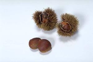 地域に愛されるお弁当の名店「つるや」｜仕出し弁当と惣菜の魅力と店舗情報