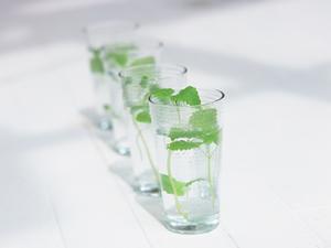 家庭で楽しむ新潟名物!本格へぎそばの美味しさとお取り寄せガイド