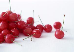 恵比寿水タバコのモフームについて