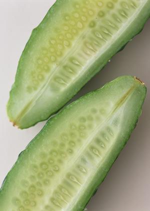 大衆酒場 ムロヒガシ 海浜幕張の居酒屋で安い×旨いを楽しむ