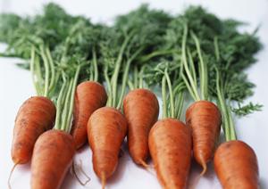 2025年最新版｜新宿のおすすめカフェ完全ガイド：おしゃれで快適な空間と絶品ドリンクを徹底紹介