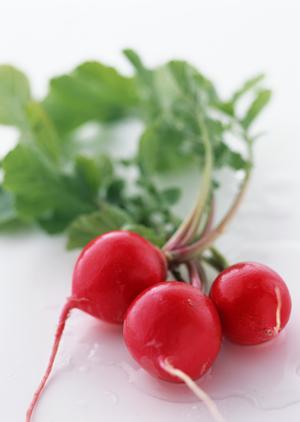 中島屋グランドホテル テラスレストランの魅力と特長