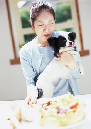 玄米のマイセンの玄米パンについて