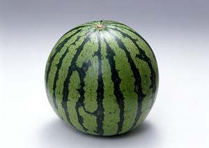 生牡蠣を美味しく食べるお店なら