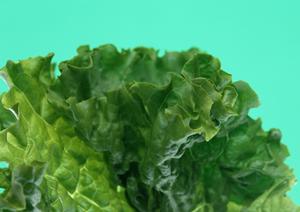 2025年最新版：お米通販で選ばれる理由と最強の購入ガイド